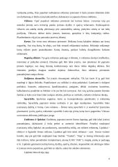 Smulkiosios reklamos priemonės 3 puslapis