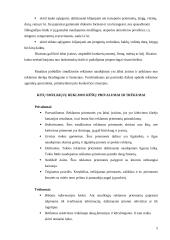 Smulkiosios reklamos priemonės 4 puslapis