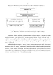Smulkių ir vidutinių įmonių valdymas 13 puslapis
