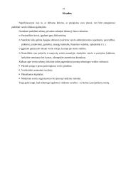 Smulkių ir vidutinių įmonių valdymas 14 puslapis