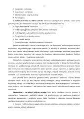 Smulkių ir vidutinių įmonių valdymas 5 puslapis