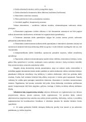 Smulkių ir vidutinių įmonių valdymas 6 puslapis