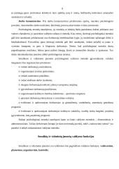 Smulkių ir vidutinių įmonių valdymas 8 puslapis