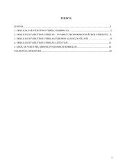 Smulkus ir vidutinis verslas Europos Sąjungoje ir Lietuvoje 2 puslapis