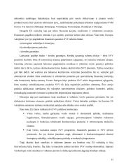 Smulkus ir vidutinis verslas Europos Sąjungoje ir Lietuvoje 11 puslapis