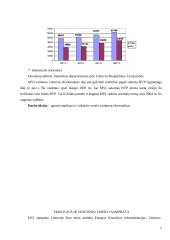 Smulkus ir vidutinis verslas Europos Sąjungoje ir Lietuvoje 4 puslapis