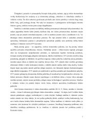 Smulkus ir vidutinis verslas Europos Sąjungoje ir Lietuvoje 6 puslapis