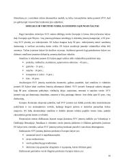 Smulkus ir vidutinis verslas Europos Sąjungoje ir Lietuvoje 9 puslapis