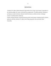 Smulkus ir vidutinis verslas Lietuvoje, jo perspektyvos 11 puslapis