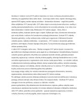 Smulkus ir vidutinis verslas Lietuvoje, jo perspektyvos 3 puslapis