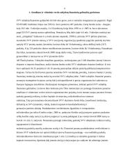 Smulkus ir vidutinis verslas Lietuvoje, jo perspektyvos 4 puslapis