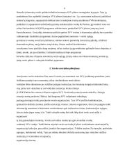 Smulkus ir vidutinis verslas Lietuvoje, jo perspektyvos 6 puslapis