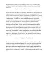 Smulkus ir vidutinis verslas Lietuvoje, jo perspektyvos 8 puslapis