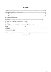 Smulkusis ir vidutinis verslas (SVV) Lietuvoje 2 puslapis