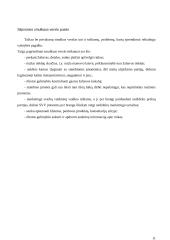 Smulkusis ir vidutinis verslas (SVV) Lietuvoje 11 puslapis