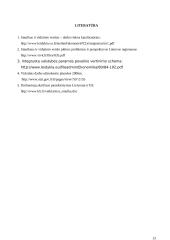 Smulkusis ir vidutinis verslas (SVV) Lietuvoje 13 puslapis