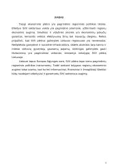 Smulkusis ir vidutinis verslas (SVV) Lietuvoje 3 puslapis