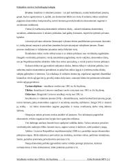 Smulkusis verslas nuo 1991metų iki šių dienų 3 puslapis