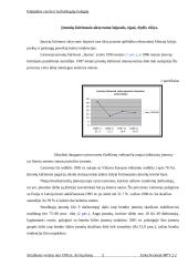 Smulkusis verslas nuo 1991metų iki šių dienų 5 puslapis