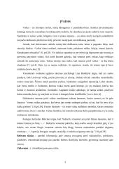 Smurtas prieš vaikus ir prievartos rūšys 3 puslapis