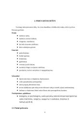 Smurtas prieš vaikus ir prievartos rūšys 6 puslapis