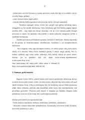 Smurtas prieš vaikus ir moterys 12 puslapis