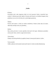 Smurtas prieš vaikus ir moterys 3 puslapis