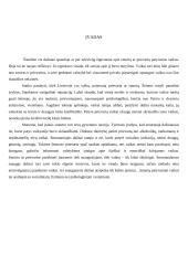 Smurtas prieš vaikus šeimoje 2 puslapis