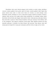 Smurtas prieš vaikus šeimoje 13 puslapis