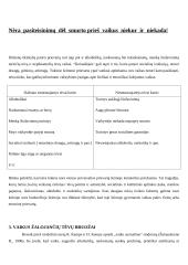 Smurtas prieš vaikus šeimoje 15 puslapis