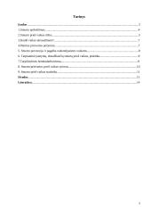 Smurtas/prievarta prieš vaikus 2 puslapis