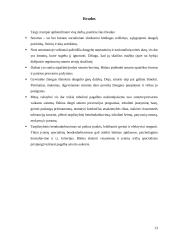 Smurtas/prievarta prieš vaikus 13 puslapis