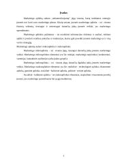 Socialinė - kultūrinė aplinka 3 puslapis