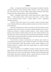 Socialinė - kultūrinė aplinka 6 puslapis