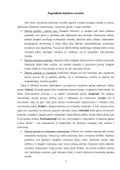 Socialinė - kultūrinė aplinka 7 puslapis