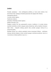 Socialinė apsauga pasaulio šalyse 3 puslapis