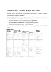 Socialinė apsauga pasaulio šalyse 4 puslapis