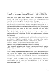 Socialinė apsauga pasaulio šalyse 5 puslapis