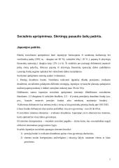 Socialinė apsauga pasaulio šalyse 7 puslapis