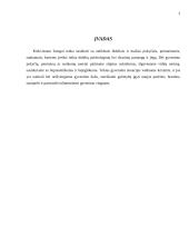 Socialinė pagalba krizę išgyvenantiems vaikams 3 puslapis