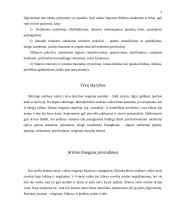 Socialinė pagalba krizę išgyvenantiems vaikams 5 puslapis