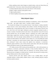 Socialinė pagalba krizę išgyvenantiems vaikams 6 puslapis