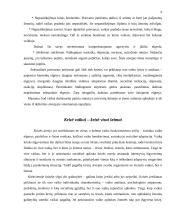 Socialinė pagalba krizę išgyvenantiems vaikams 9 puslapis