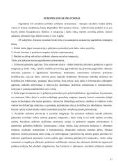 Socialinė politika Europos Sąjungoje 11 puslapis