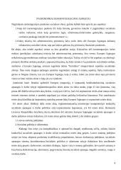 Socialinė politika Europos Sąjungoje 4 puslapis