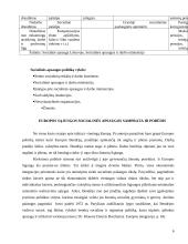 Socialinės politikos terminai 6 puslapis