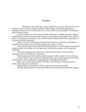 Socialinė politika užsienyje ir Lietuvoje 12 puslapis