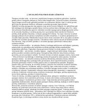 Socialinė politika užsienyje ir Lietuvoje 5 puslapis