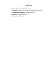 Reklamos samprata ir socialinė reklama 13 puslapis