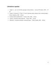 Socialinės apsaugos sistemos raida Lietuvoje 1990 – 2000 metais 17 puslapis